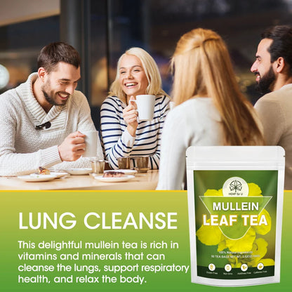 Mullein Leaf Tea