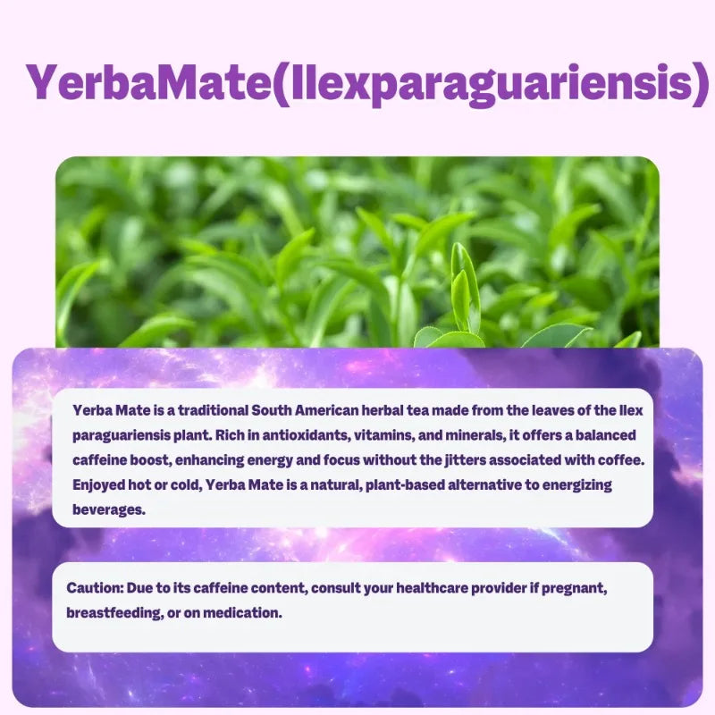 Yerba Mate 3-in-1 Energy Supplement Tea