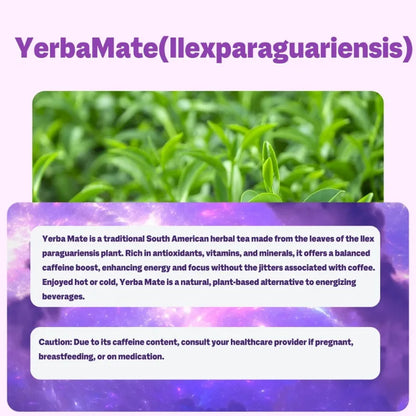 Yerba Mate 3-in-1 Energy Supplement Tea