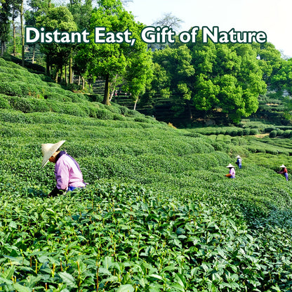 Eastsign Ceremonial Grade Matcha Powder